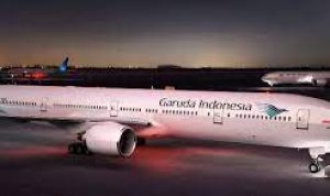 Garuda (Garudaindonesiacom)